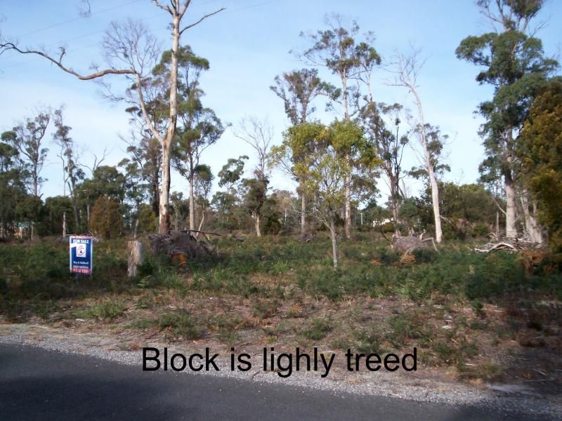 PORT SORELL, PORT SORELL, Port Sorell - Thumbnail 7
