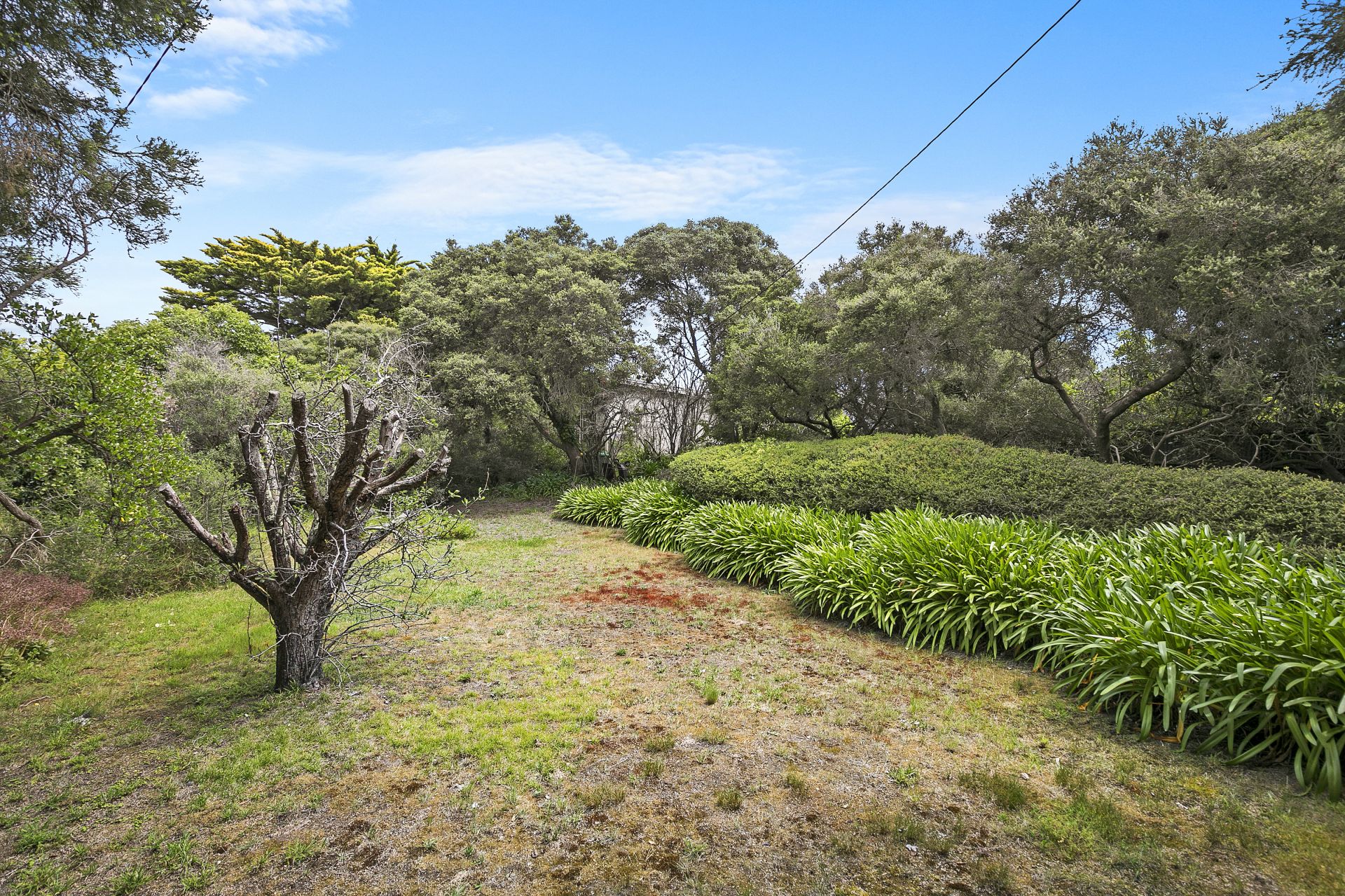 Lot 1/20 Anderson Street, Torquay - Thumbnail 5