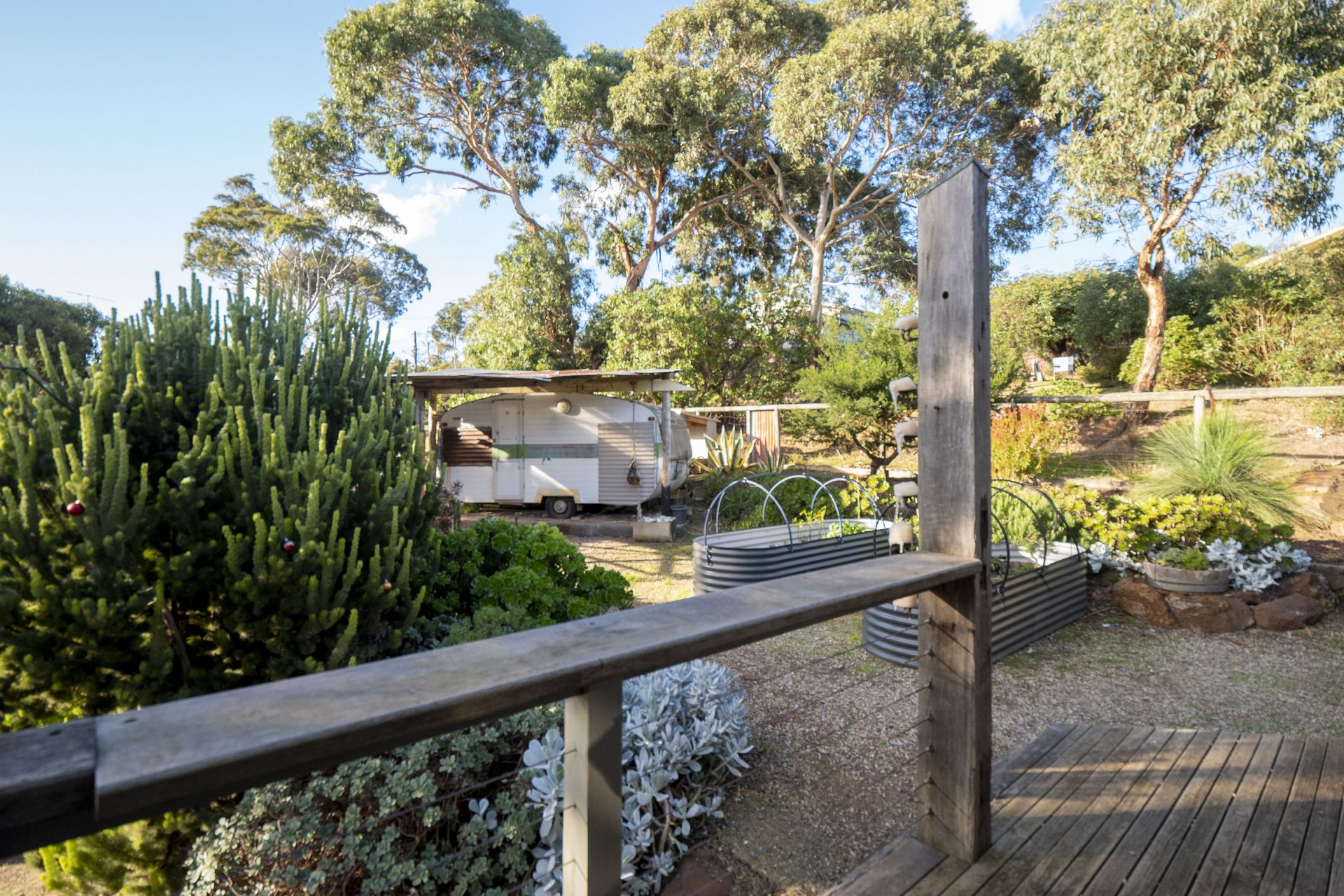 15 McRorie Street, Anglesea - Thumbnail 8