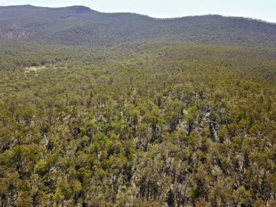 Lot 1 Little Den Road, Millers Bluff, Millers Bluff - Thumbnail 6
