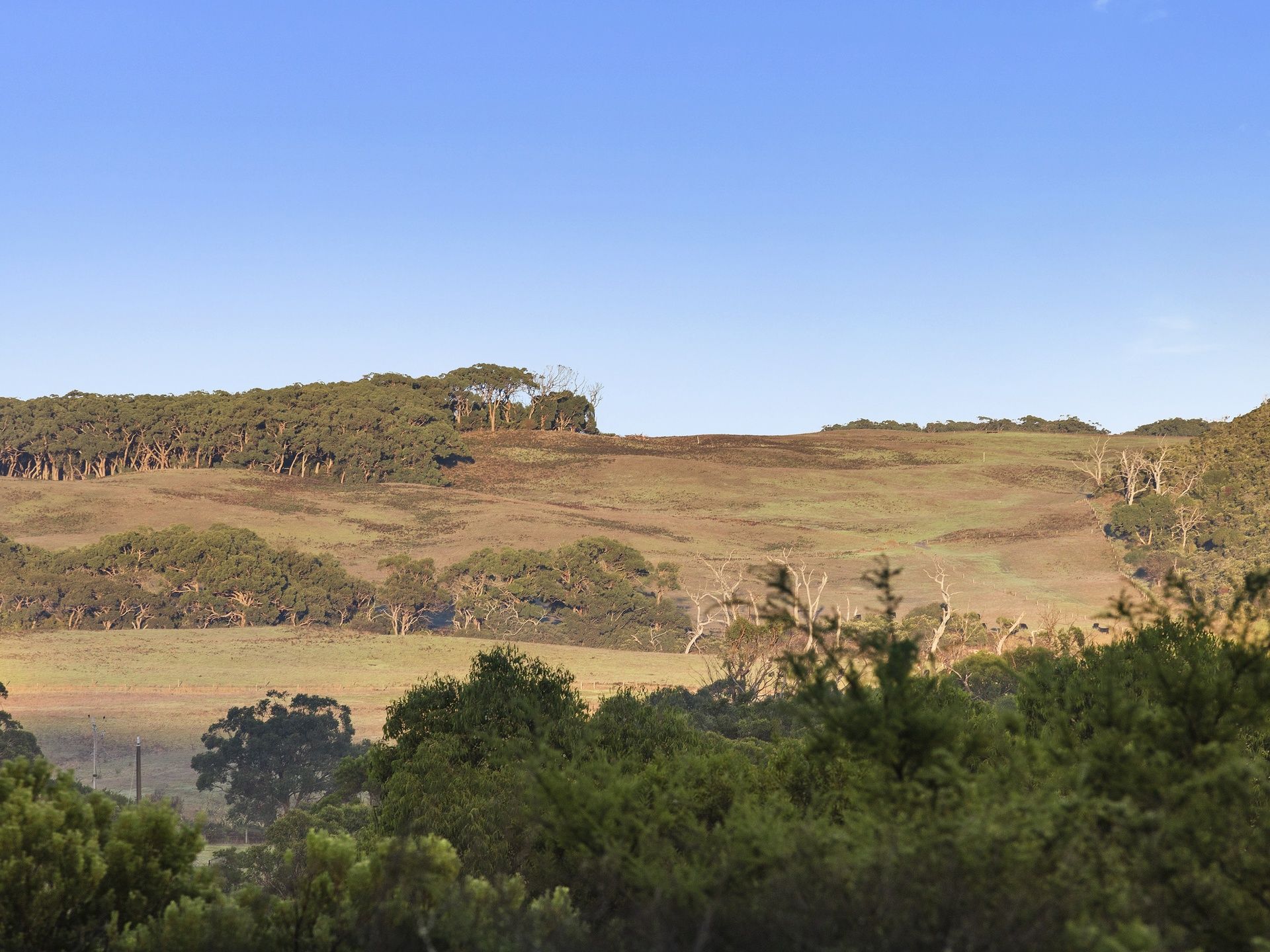 6/615 Hordern Vale Road, Hordern Vale - Thumbnail 3