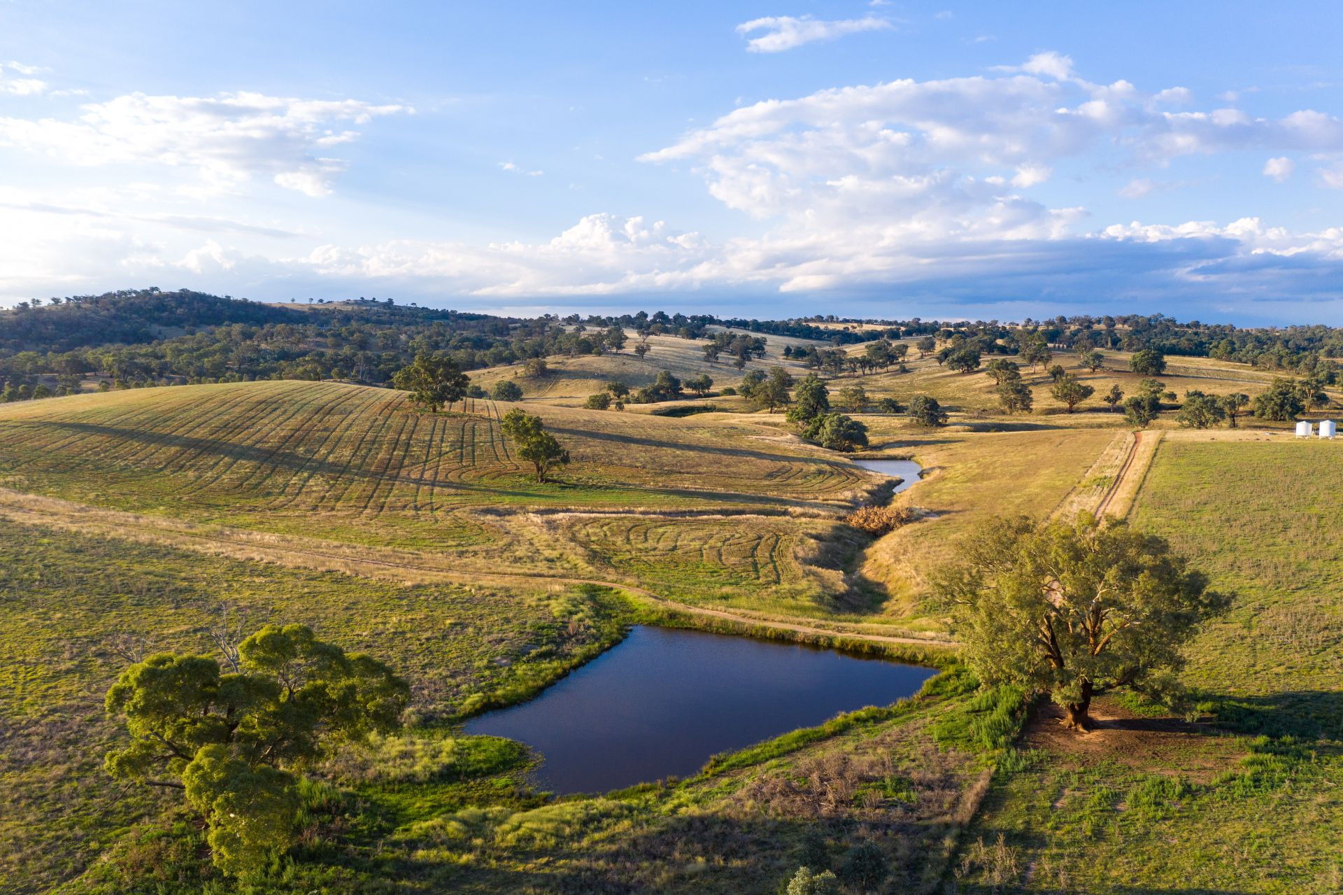 825 Frogmore Road Road, Frogmore NSW, Frogmore - Thumbnail 7