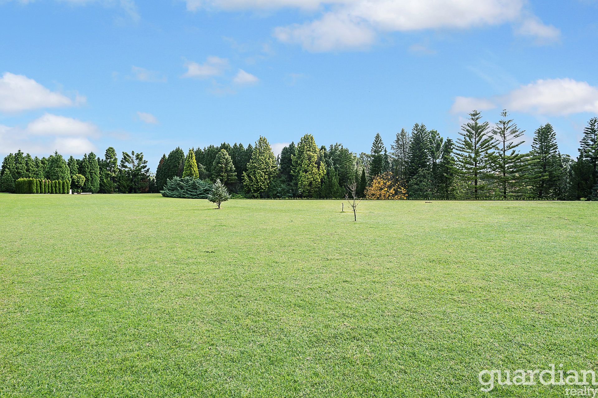 32 Derriwong Road Dural NSW, Dural - Thumbnail 5