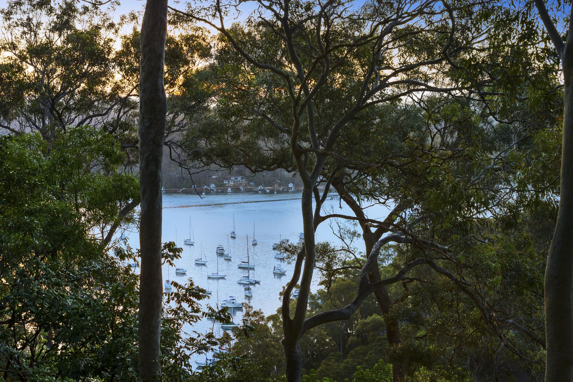 19 Loombah Street Newport NSW 2106, Newport - Thumbnail 5