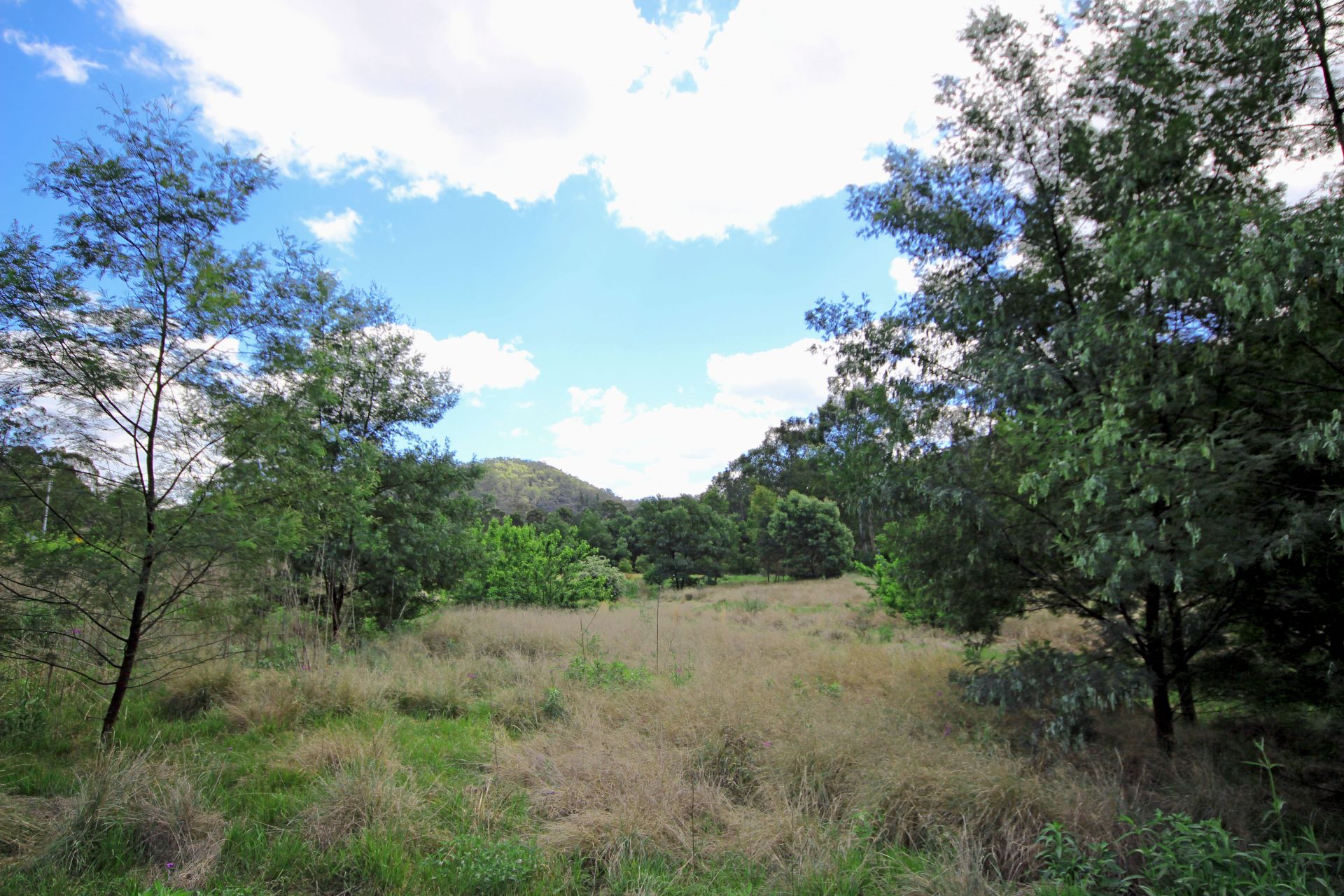1855 Singleton Road, Colo - Thumbnail 6