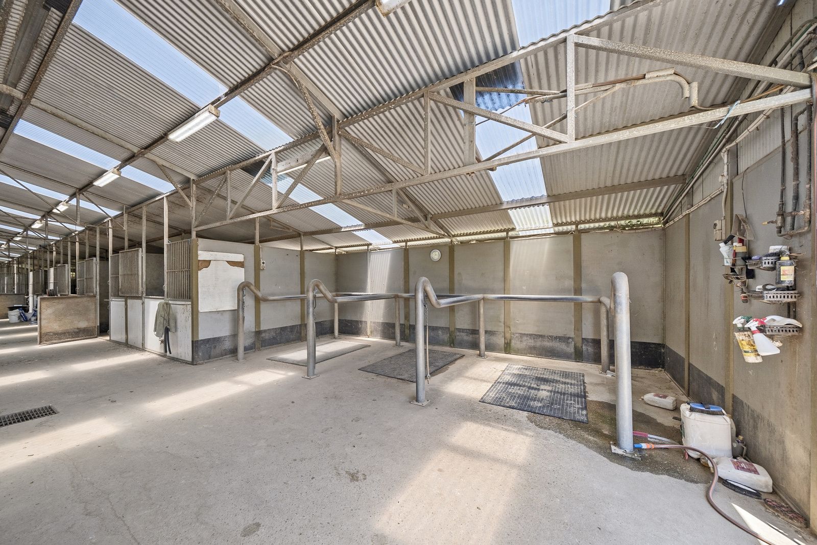 Real Estate For Sale Freemans Reach , NSW