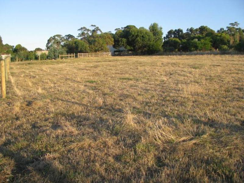 38 Ennis Street, Birregurra, VIC, Birregurra - Thumbnail 2