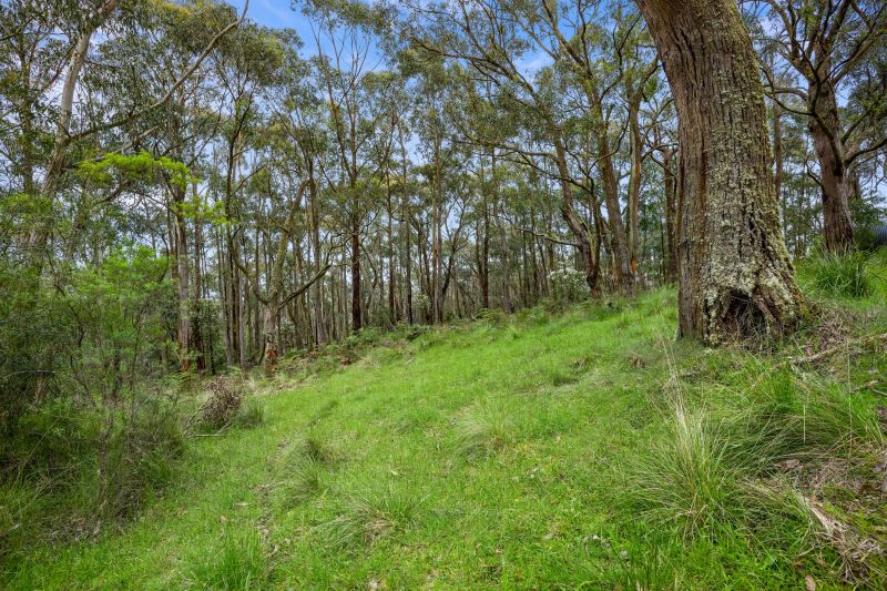 125 Marks Track, Deans Marsh, VIC, Deans Marsh - Thumbnail 2