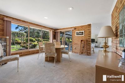 20 Lawrence Avenue, Acacia Hills, Acacia Hills - Thumbnail 8
