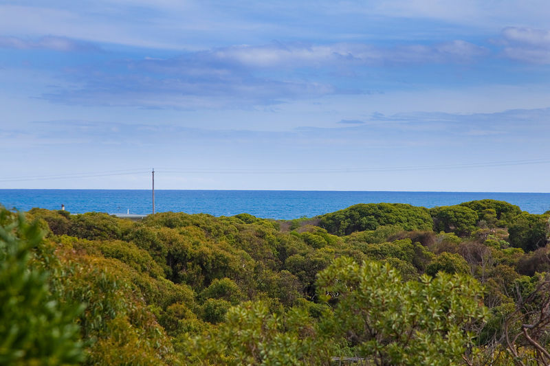19 Old Neuk Road, Moggs Creek, VIC, Moggs Creek - Thumbnail 4
