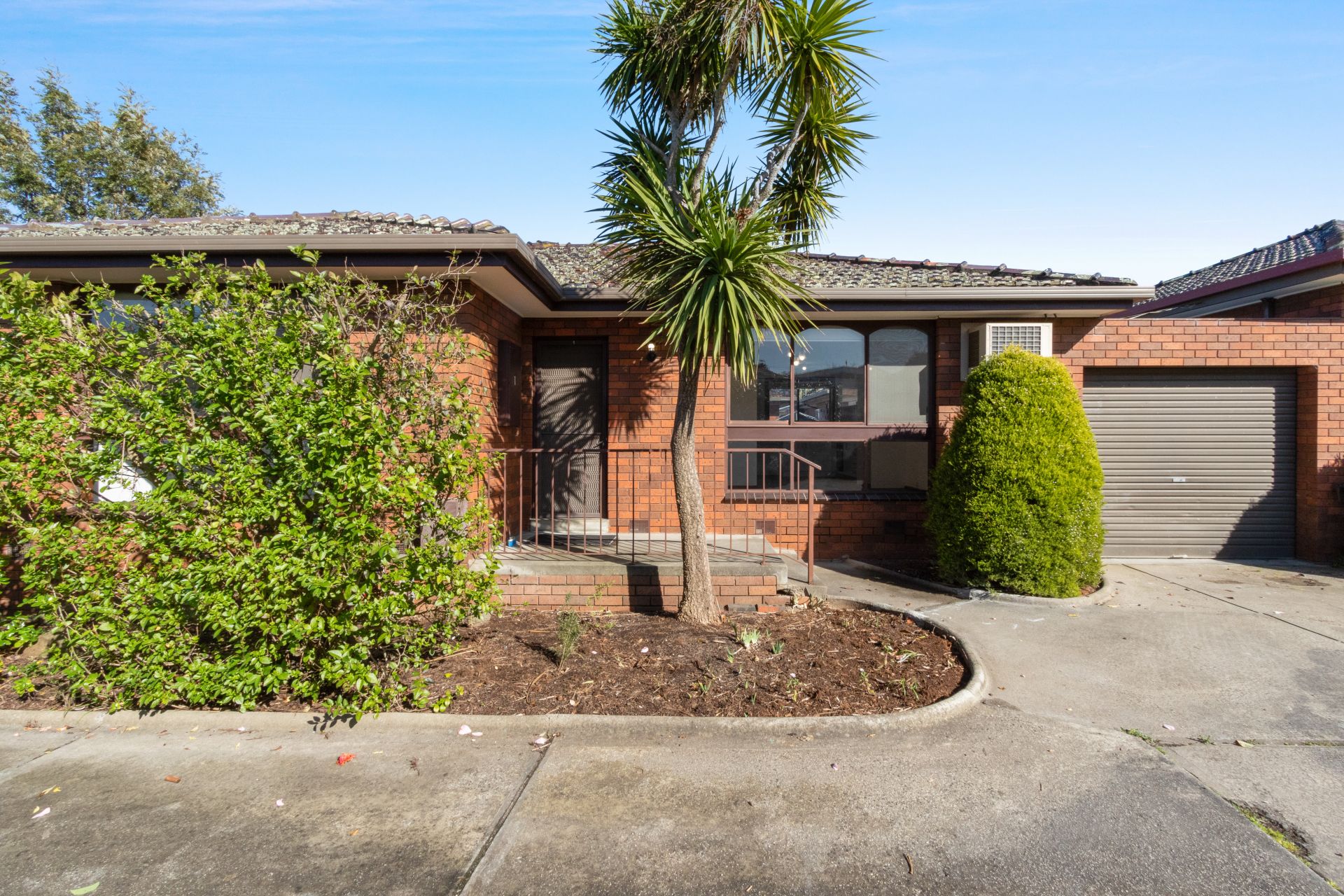 Renovated Delight