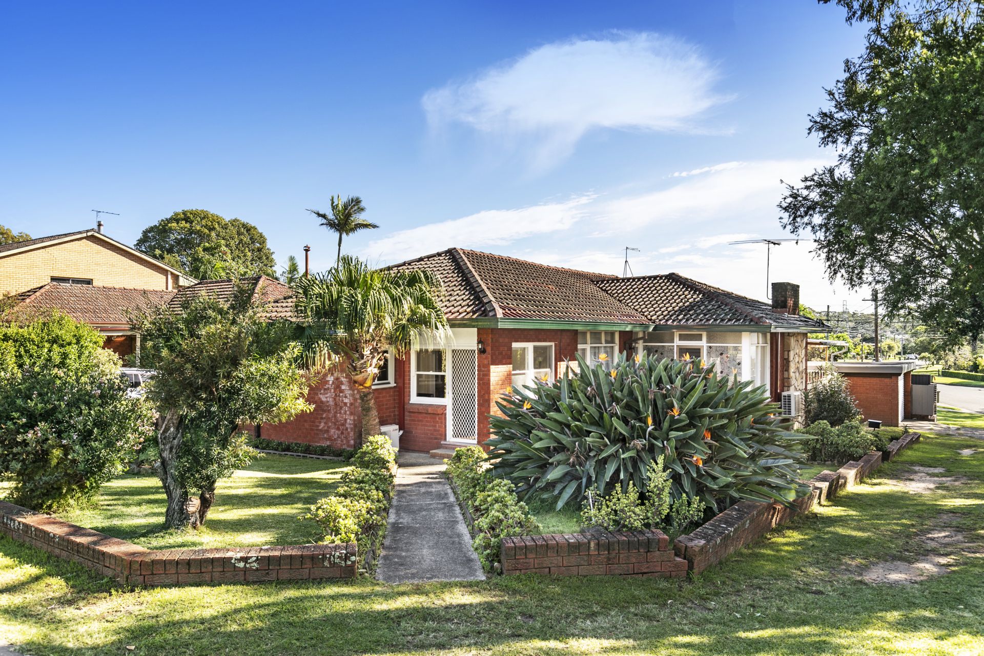59 Violet Street, Miranda, Miranda - Thumbnail 5