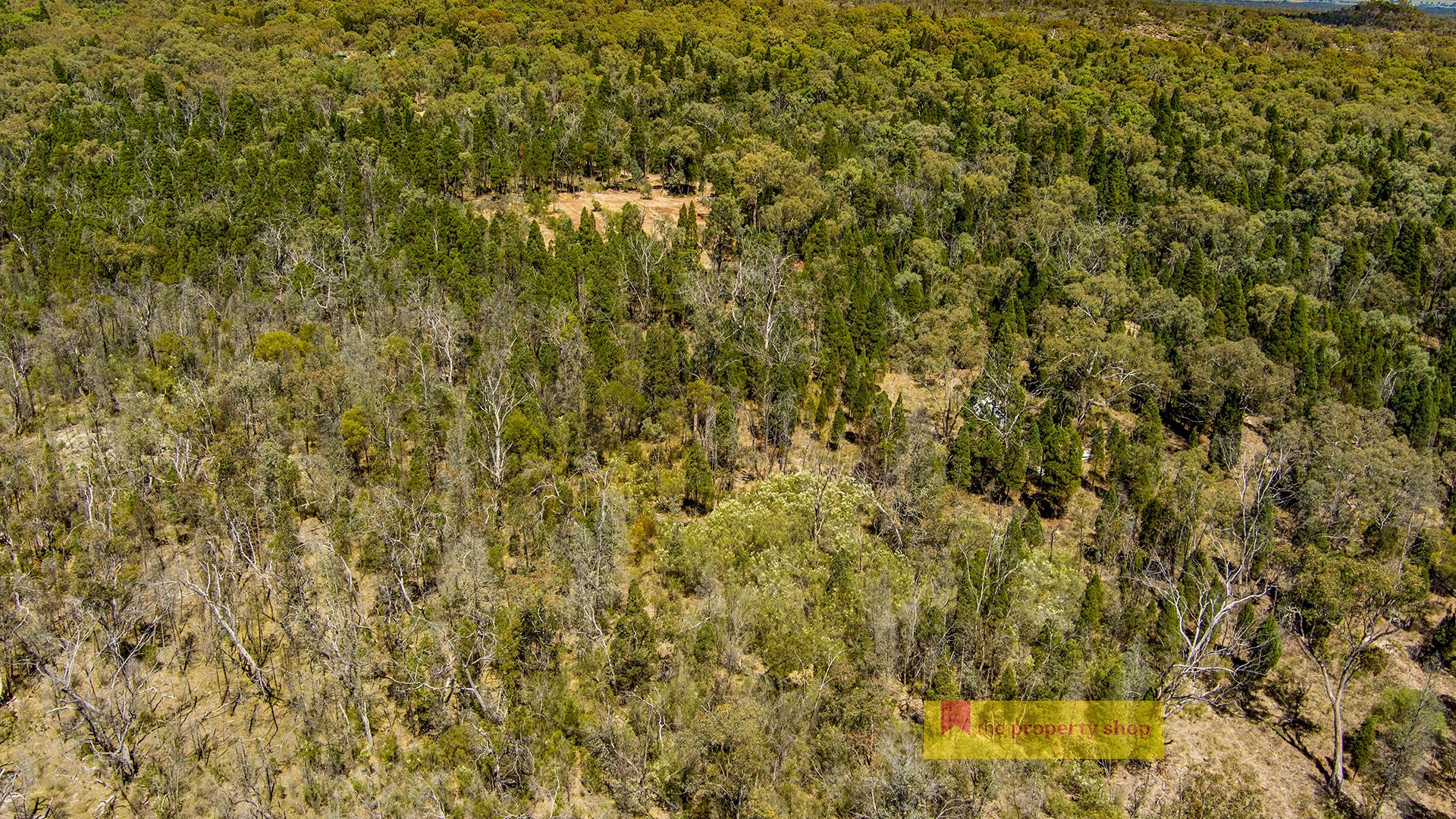 1429 Spring Creek Road, Mudgee The Property Shop