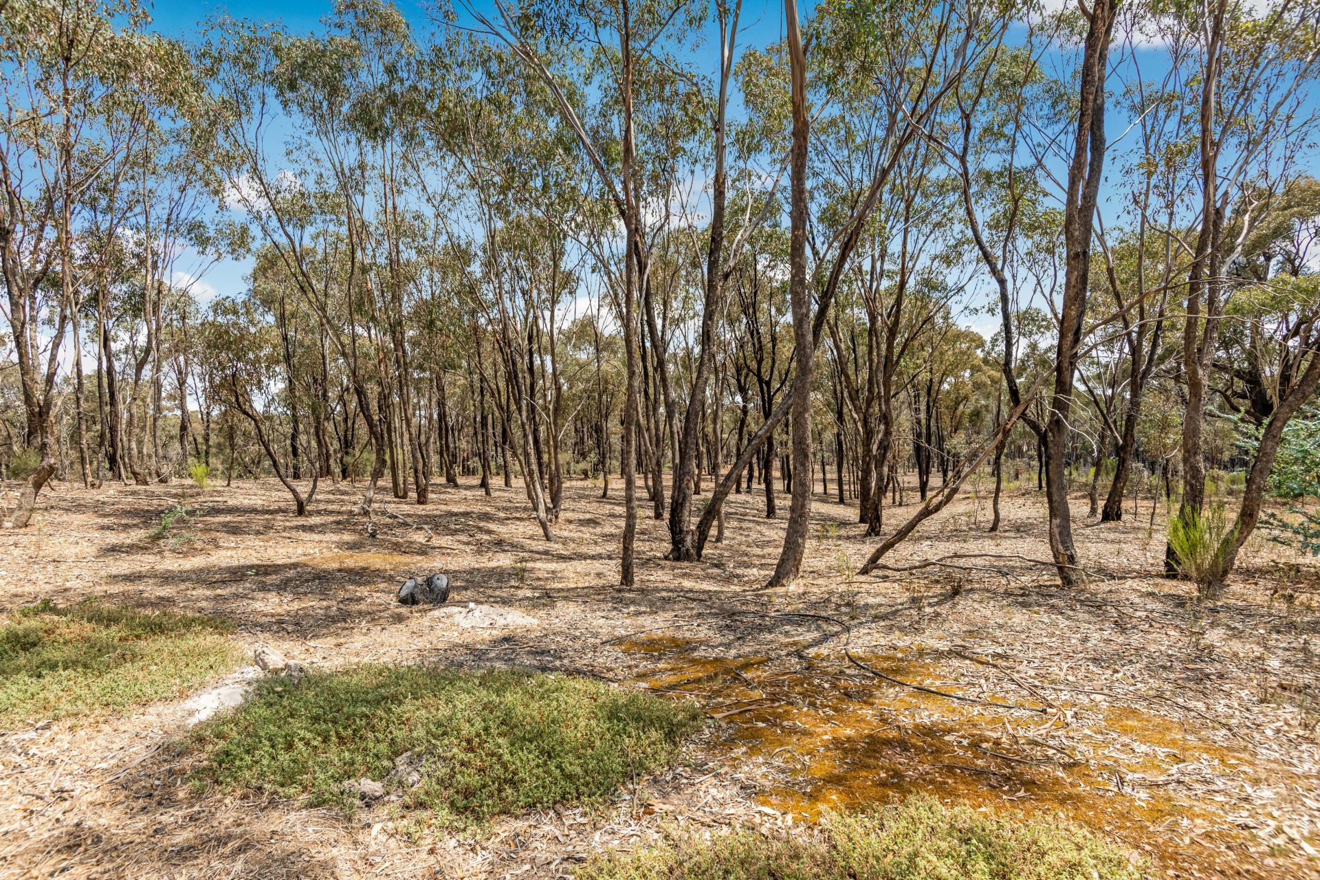 1916 Bendigo Maryborough Road, Shelbourne Bendigo Ballarat Real Estate Pty Ltd