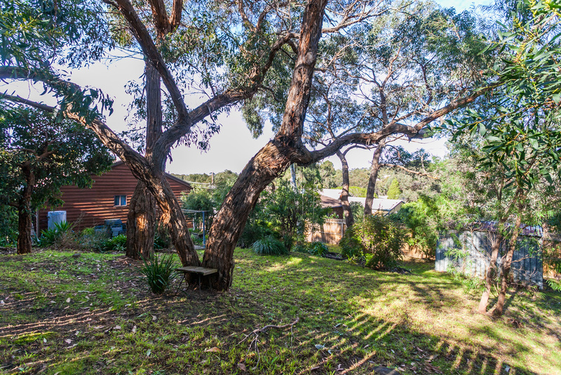 57  Fraser Avenue, Anglesea, VIC, Anglesea - Thumbnail 8