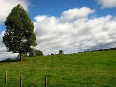 3
 
 
 
  
 
 
 1
 
 
 
  
 
 
 2
 
 
 
 
 
 
 
 754 Nook Road, NOOK TAS 7306, Nook - Thumbnail 2
