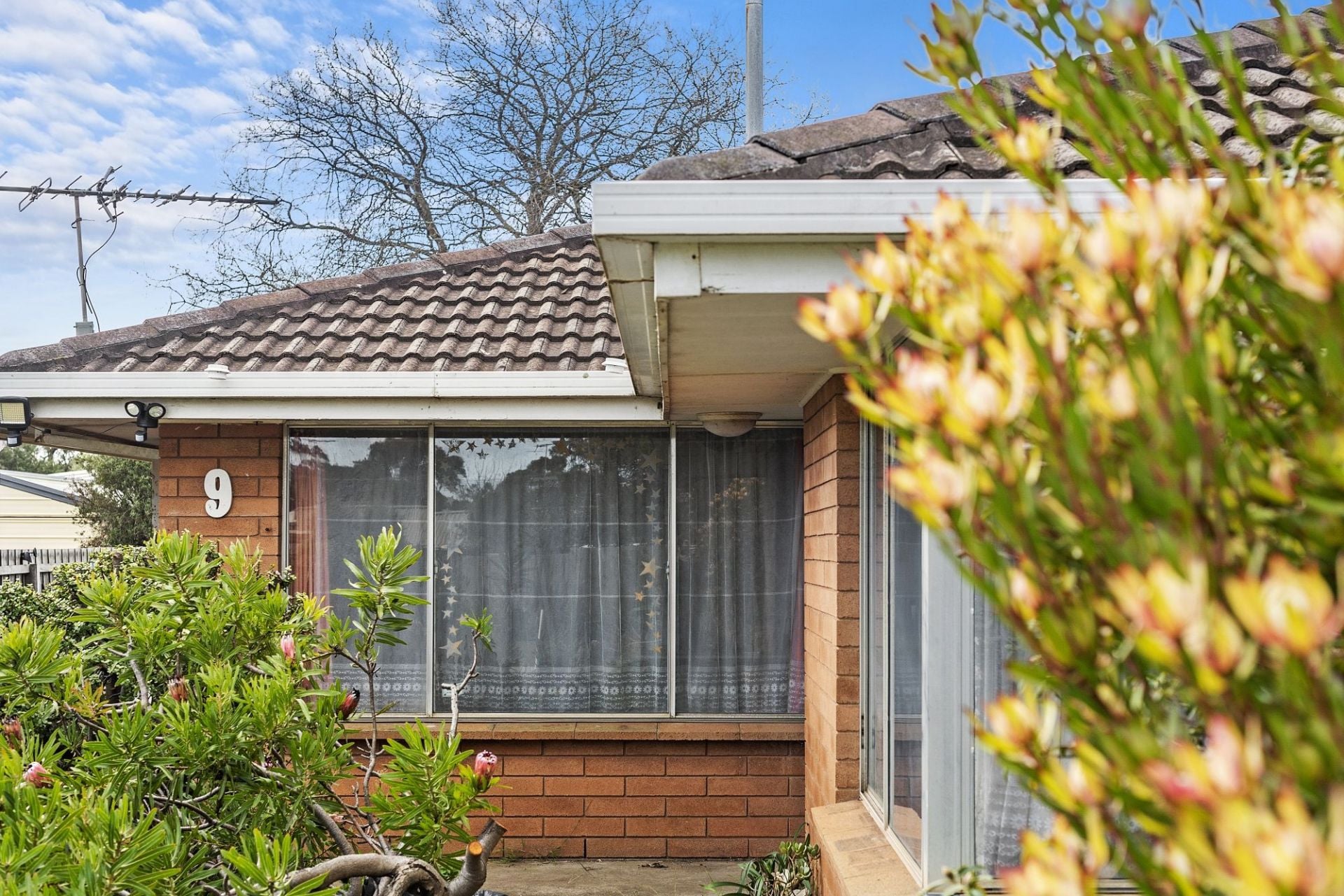9 Wilkinson Court Ocean Grove VIC, Ocean Grove - Thumbnail 2