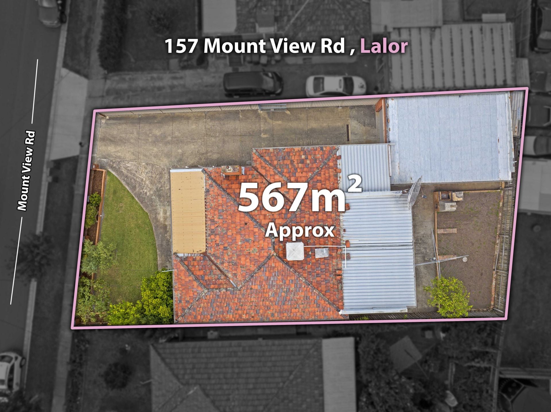 A Family Favorite – With Rumpus Room -

Auction This Saturday @ 2pm