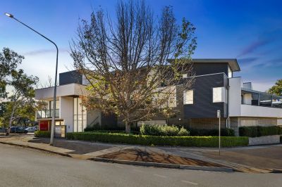 Page 8/36 Petterd Street