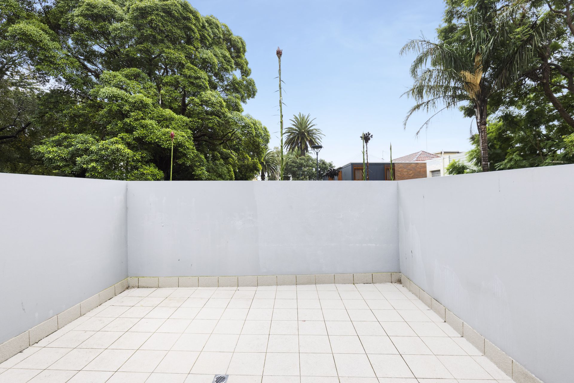 2/299 Stanmore Road Petersham NSW 2049 Apartment for Rent 6941791