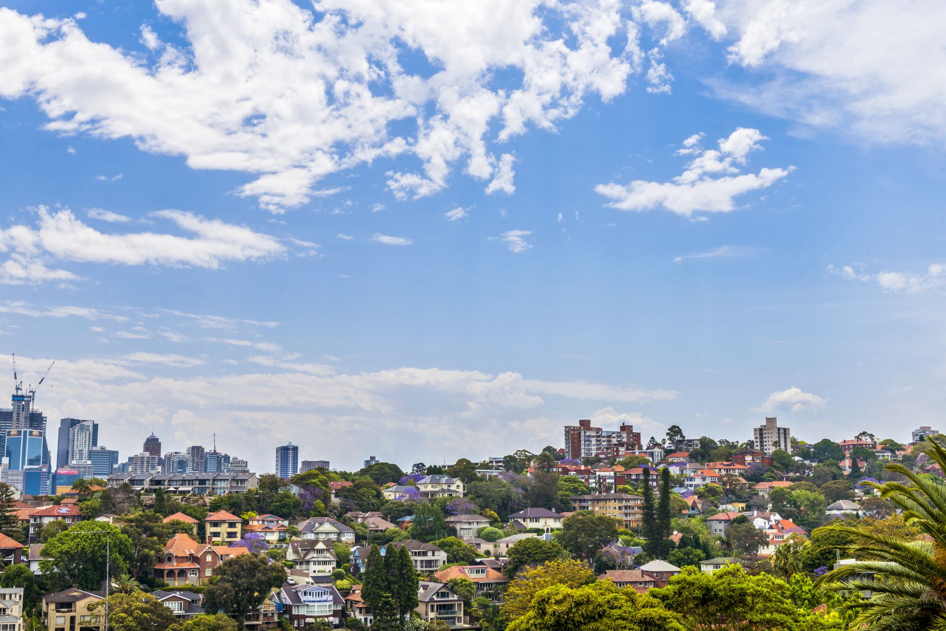 Real Estate For Lease 3/83 Milson Road Cremorne Point , NSW