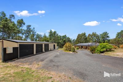 3
 
 
 
  
 
 
 1
 
 
 
  
 
 
 5
 
 
 
 
 
 
 
 87 Clayton Drive, Spreyton TAS 7310, Spreyton - Thumbnail 4