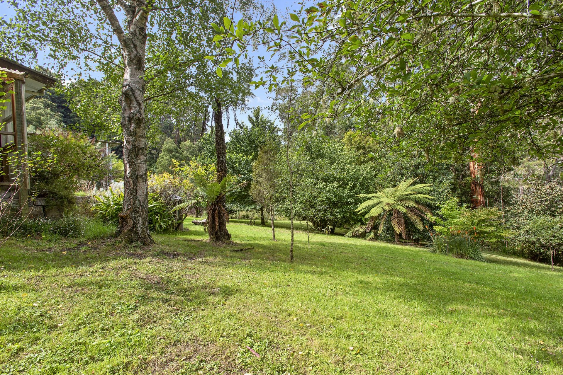 605 Barham River Road, Apollo Bay - Thumbnail 7