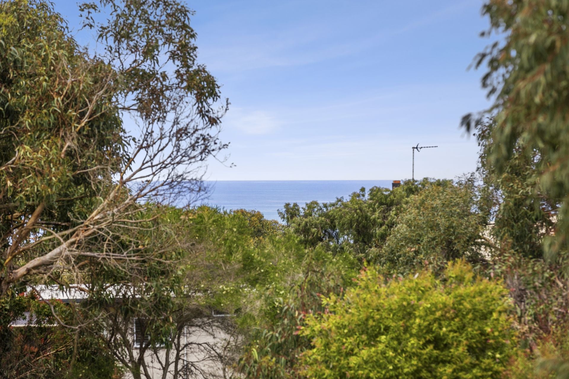 42 Harvey Street, Anglesea - Thumbnail 5