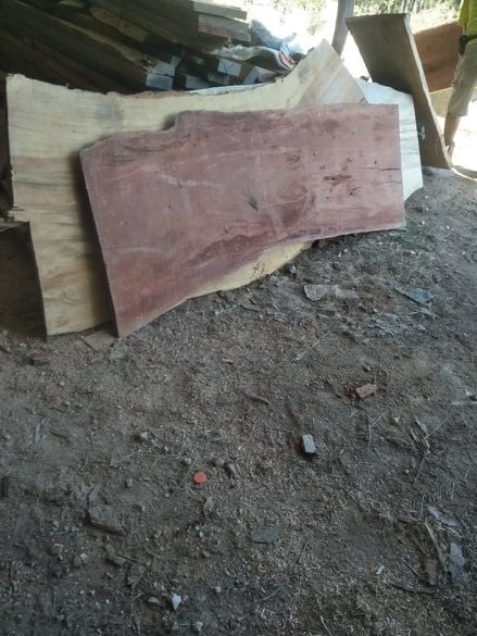 - Clearing Sale @ 240 Brookhouse Rd, PEMBROOKE NSW 2446