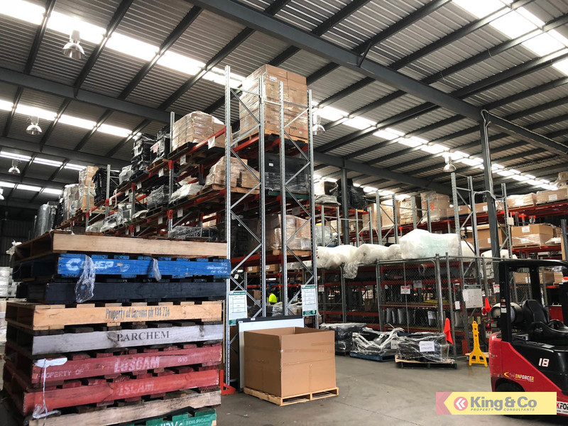 RARE TINGALPA FREESTANDER!