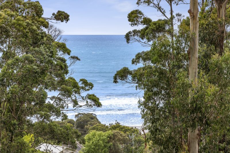 3 Wallace Street, Wye River, VIC, Wye River - Thumbnail 5