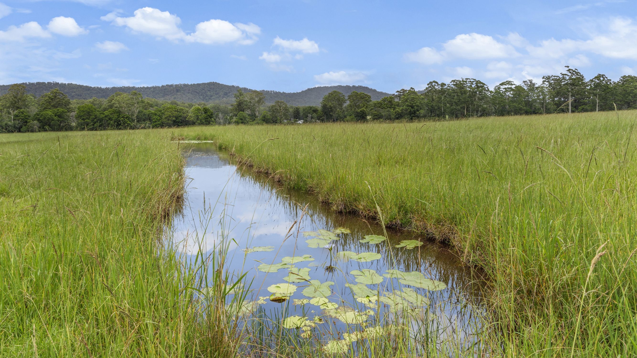 51 Horse Lane, KUNDABUNG NSW 2441