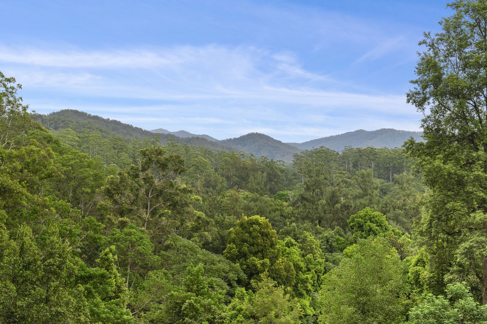 Real Estate For Sale 1772 Kalang Road Bellingen , NSW