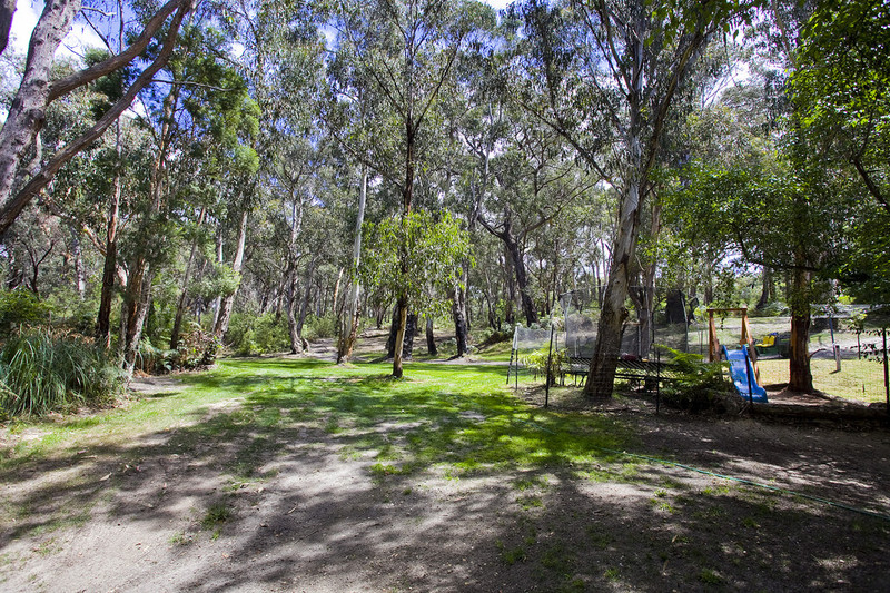 69 Deans Marsh Road, Lorne, VIC, Lorne - Thumbnail 6