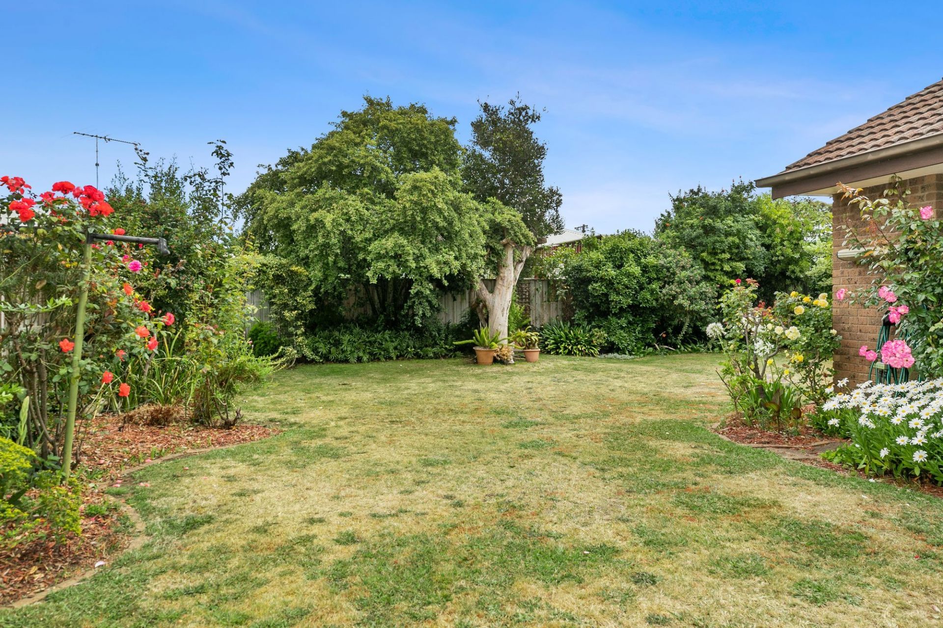 6 Lowe Street Ocean Grove VIC, Ocean Grove - Thumbnail 7