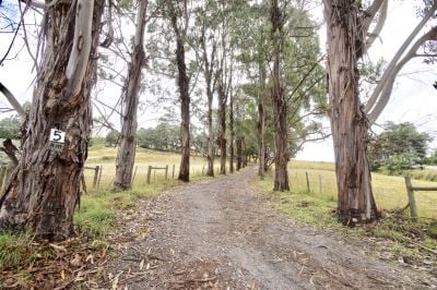 3
 
 
 
  
 
 
 2
 
 
 
  
 
 
 2
 
 
 
 
 
 
 
 240 Bridle Track Road, Sheffield TAS 7306, Sheffield - Thumbnail 4