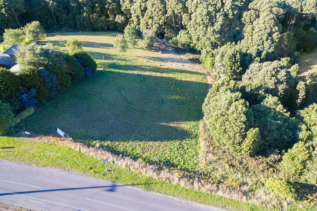 33  Great Ocean Road, Lavers Hill, VIC, Lavers Hill - Thumbnail 4