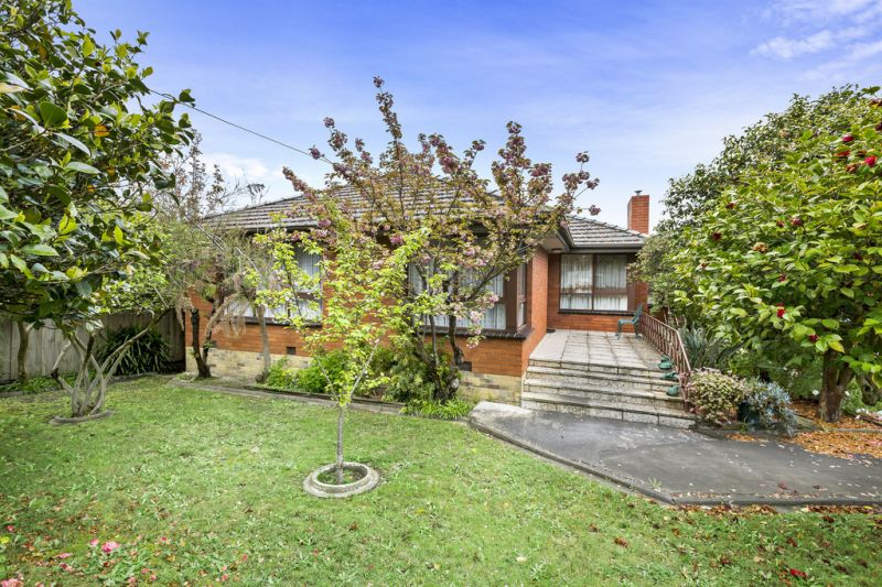 21 McCubbin Street, Burwood - Thumbnail 4