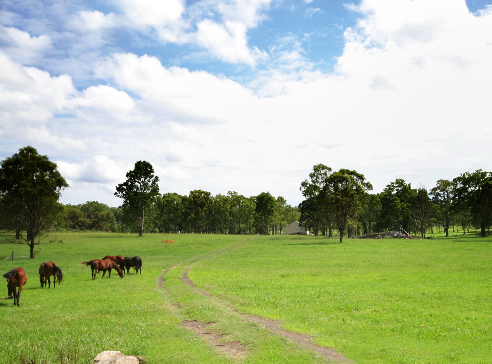 152 King Road, Wilberforce - Thumbnail 2