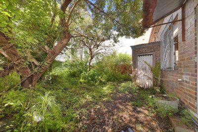 139 Arden Street Coogee NSW, Coogee - Thumbnail 6