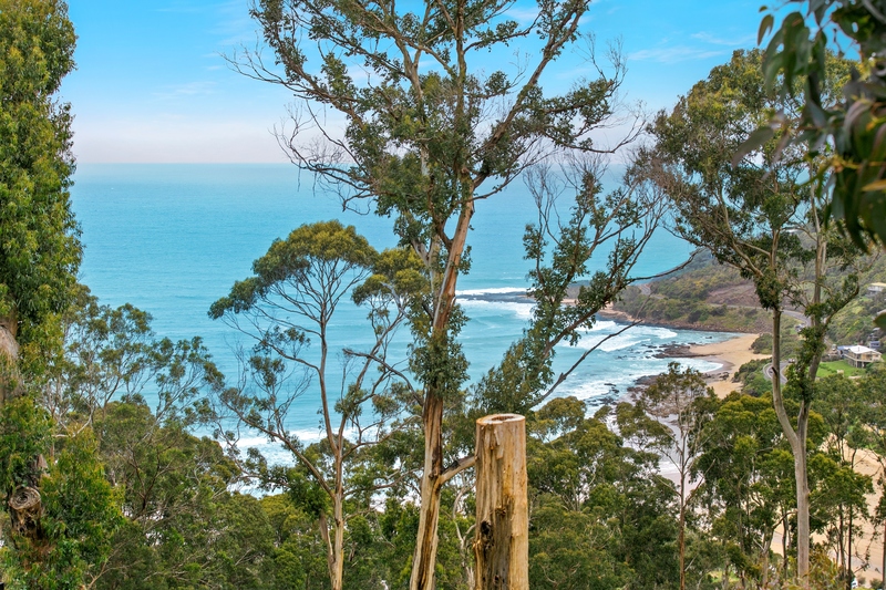 42 Karingal Drive, Wye River, VIC, Wye River - Thumbnail 3