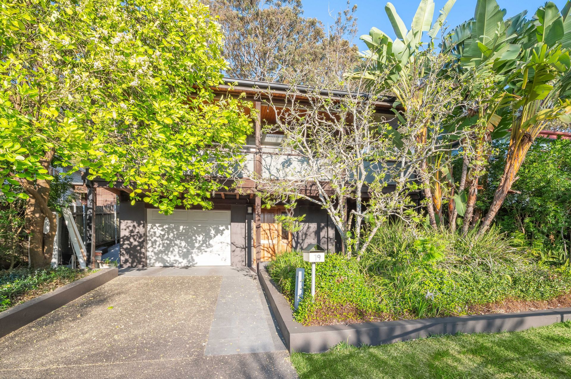 19 Bulkara Street Adamstown Heights NSW, 19 Bulkara Street Adamstown Heights - Thumbnail 4