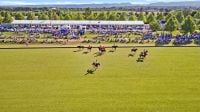 Sydney's premier polo club in an idyllic setting by the Hawkesbury River