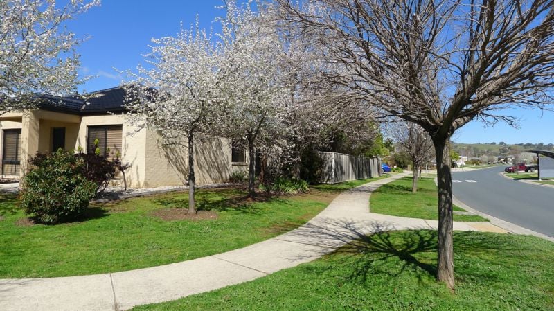 1 Willoughby Avenue Wodonga VIC, Wodonga - Thumbnail 3