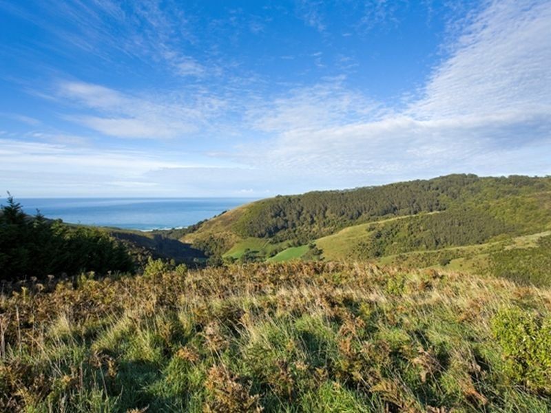 10/195 Busty Road, Apollo Bay, VIC, Apollo Bay - Thumbnail 3