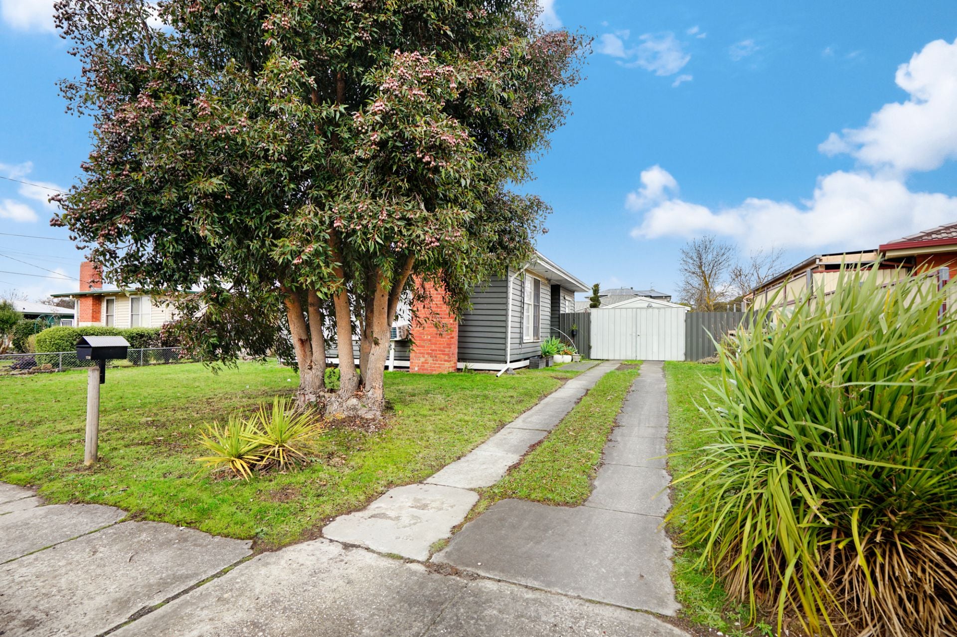 1239 Norman Street, Wendouree, Wendouree, Wendouree - Thumbnail 5