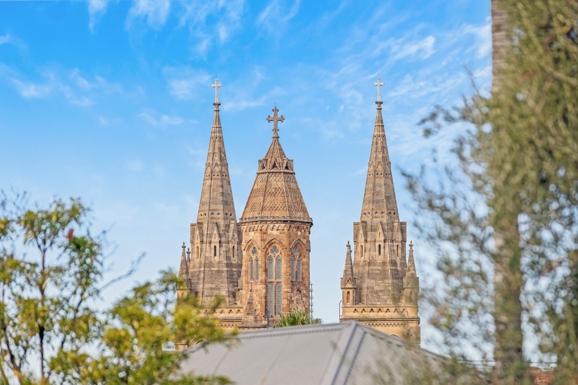 13 Brougham Court, North Adelaide Fox RE