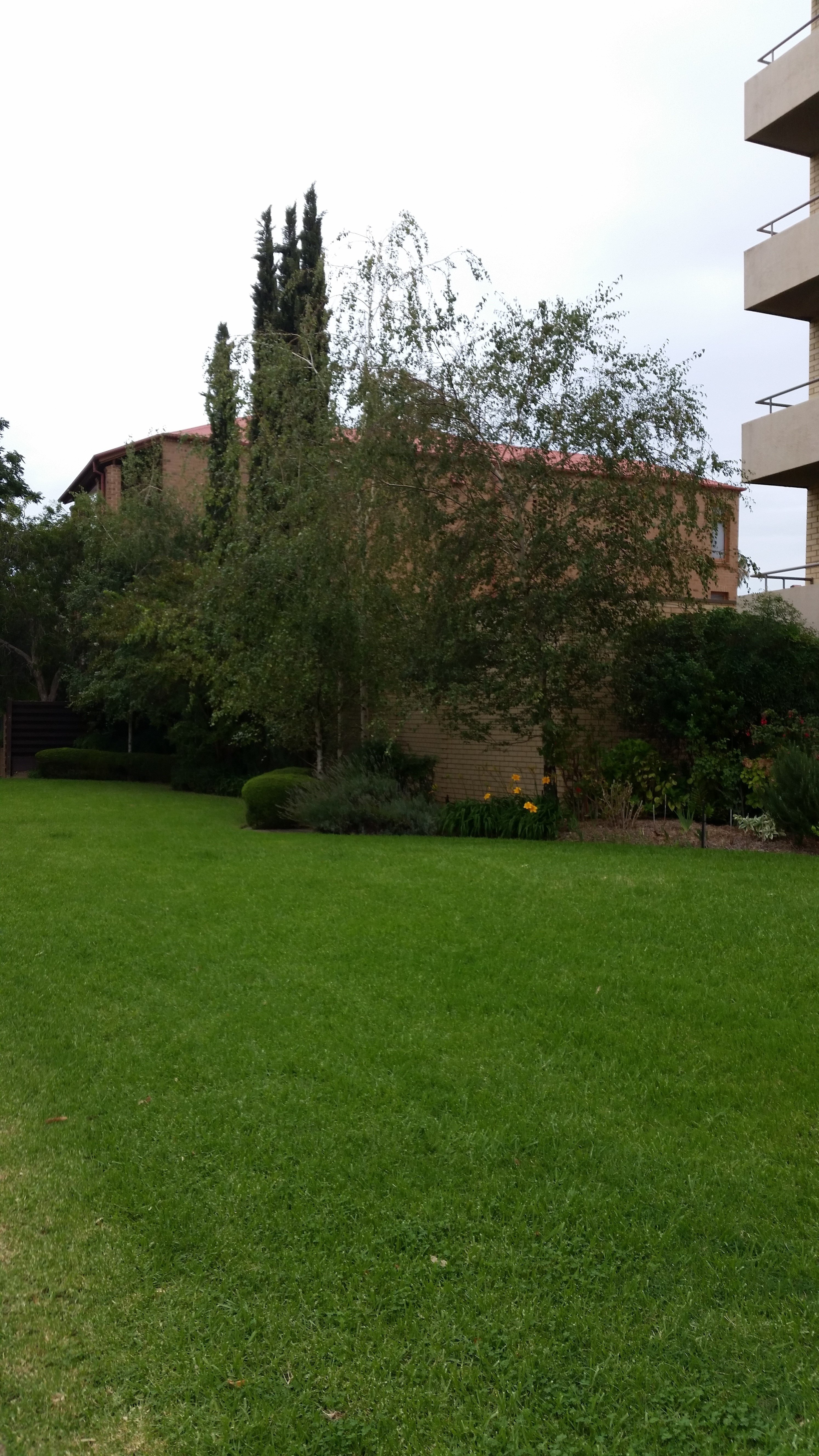 4B/97 Mackinnon Parade North Adelaide 5006