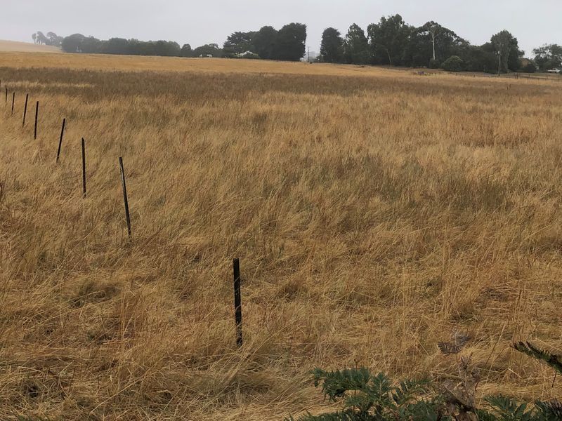 393 Mollongghip Road, Mollongghip VIC 3352