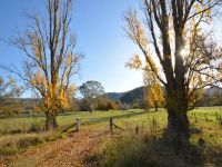 204 Upper King River Road, KING VALLEY VIC, King Valley - Image 1